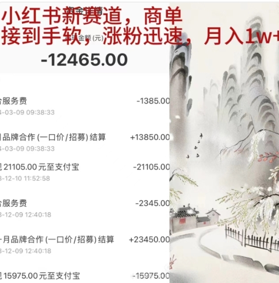 小红书新赛道，商单接到手软，涨粉迅速，一个月1w+-疯来资源