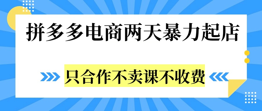 拼多多两天暴力起店，只合作不卖课不收费-疯来资源