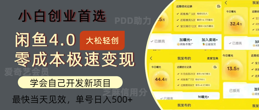 闲鱼0成本极速变现项目，多种变现方式，单号日入500+最新玩法-疯来资源