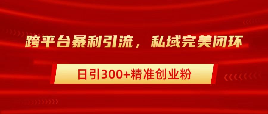 跨平台暴力引流，私域完美闭环，日引300+精准创业粉-疯来资源