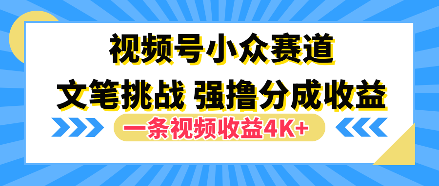 视频号小众赛道，文笔挑战，一条视频收益4K+-疯来资源