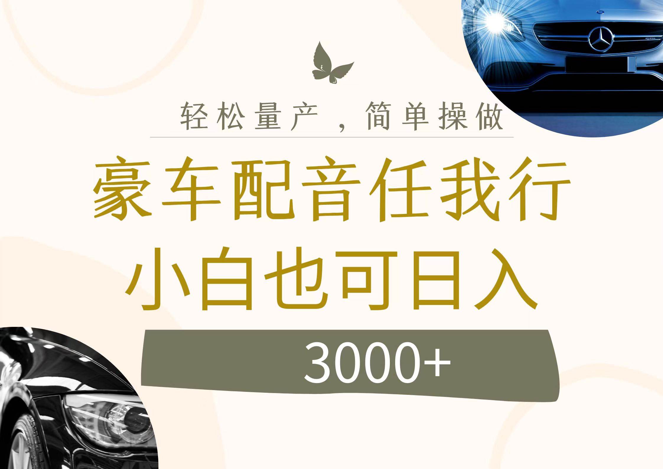 不为人知的暴力小项目，豪车配音，日入3000+-疯来资源