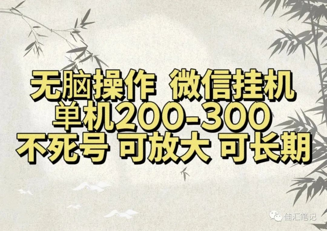 无脑操作微信视频号挂机单机200-300一天，不死号，可放大，工作室实测-疯来资源