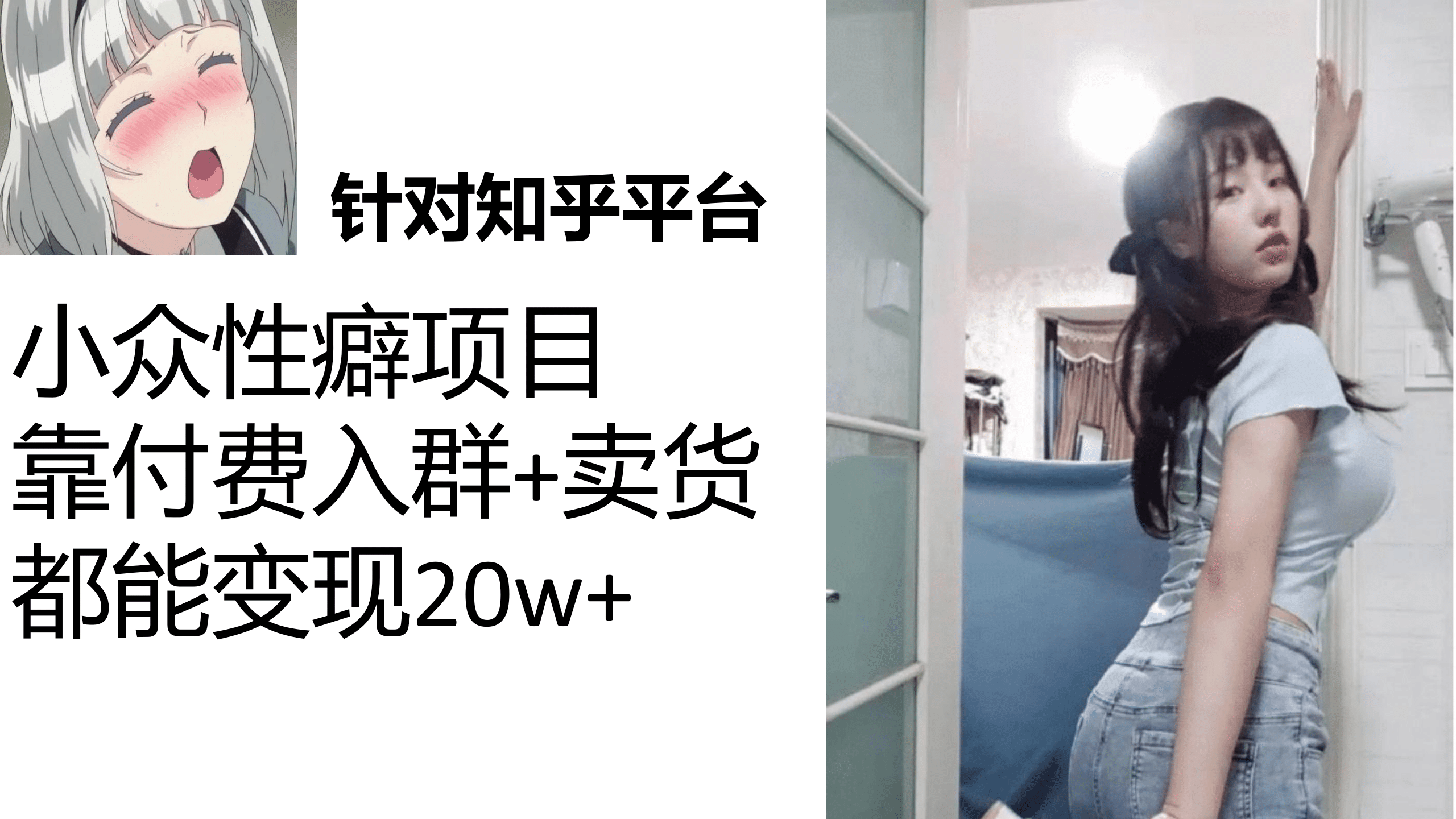 图片[1]-知乎小众性癖项目，Lsp的钱才是最好赚的，付费建群+卖货变现20w-疯来资源