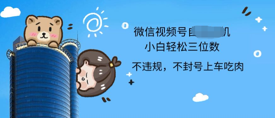 2024最新微信视频号挂机小白可上手，轻松日入三位数-疯来资源
