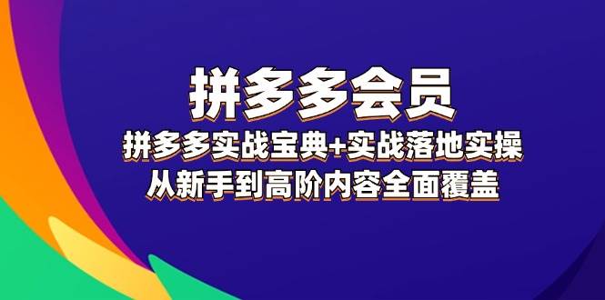 拼多多 会员，拼多多实战宝典+实战落地实操，从新手到高阶内容全面覆盖-疯来资源