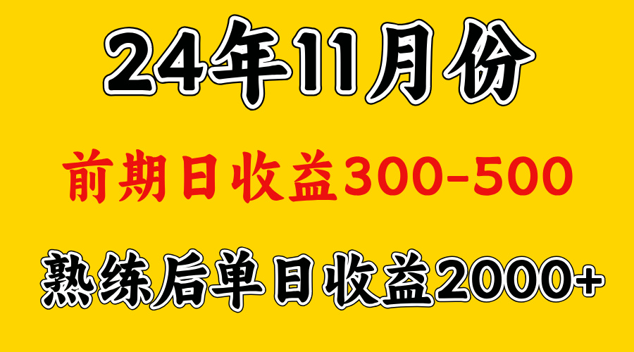 轻资产项目，前期日收益500左右，后期日收益1500-2000左右，多劳多得-疯来资源