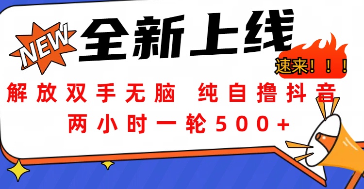 解放双手无脑 纯自撸抖音 两小时一轮500+-疯来资源