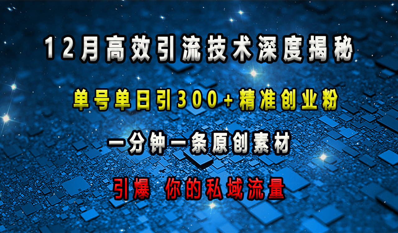 12月高效引流技术深度揭秘 ，单号单日引300+精准创业粉，一分钟一条原创素材，引爆你的私域流量-疯来资源