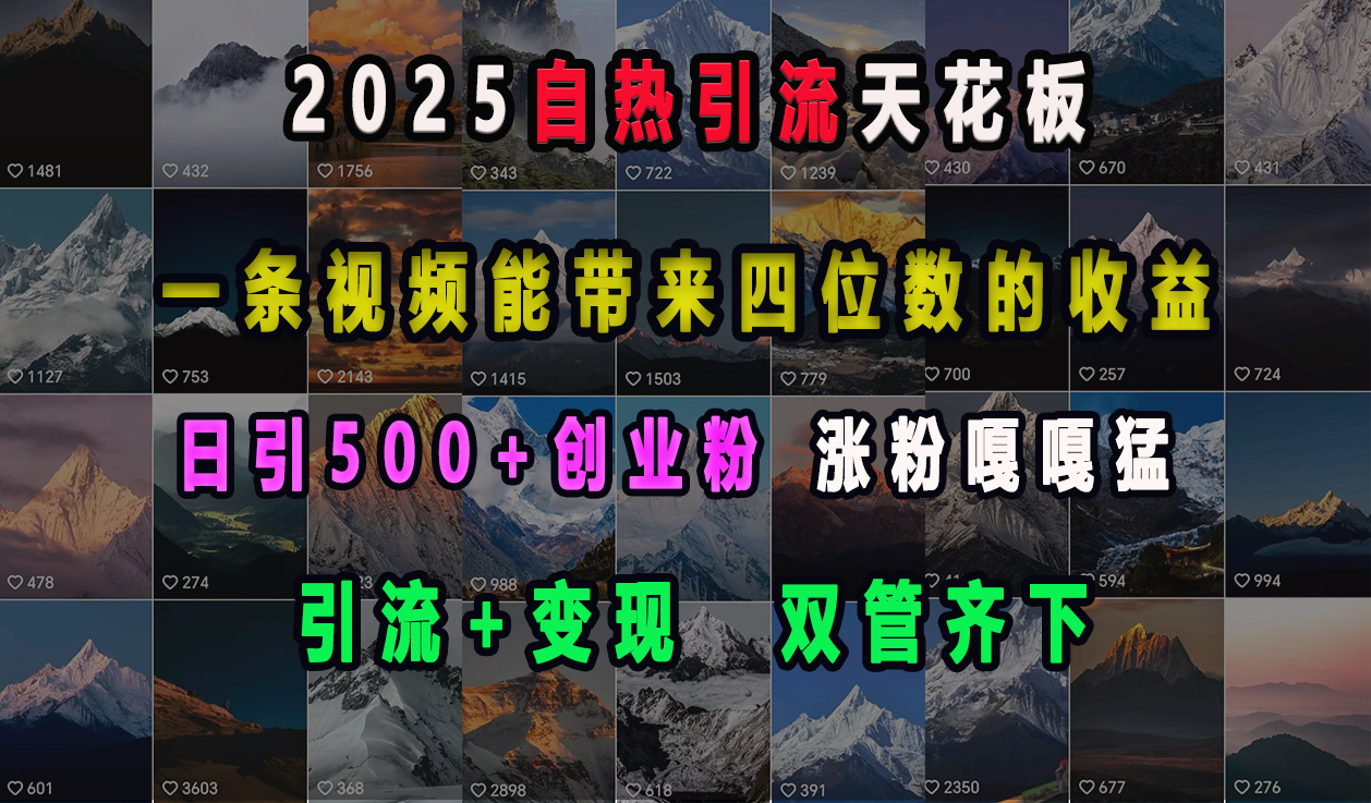 2025自热引流天花板，一条视频能带来四位数的收益，引流+变现双管齐下，日引500+创业粉，涨粉嘎嘎猛-疯来资源