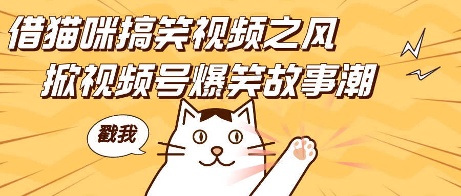 借猫咪搞笑视频之风，掀视频号爆笑故事潮，轻松日赚四位数，开启无门槛赚钱新体验！-疯来资源