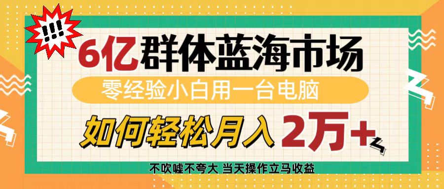 6亿群体蓝海市场，零经验小白用一台电脑，如何轻松月入2万+-疯来资源