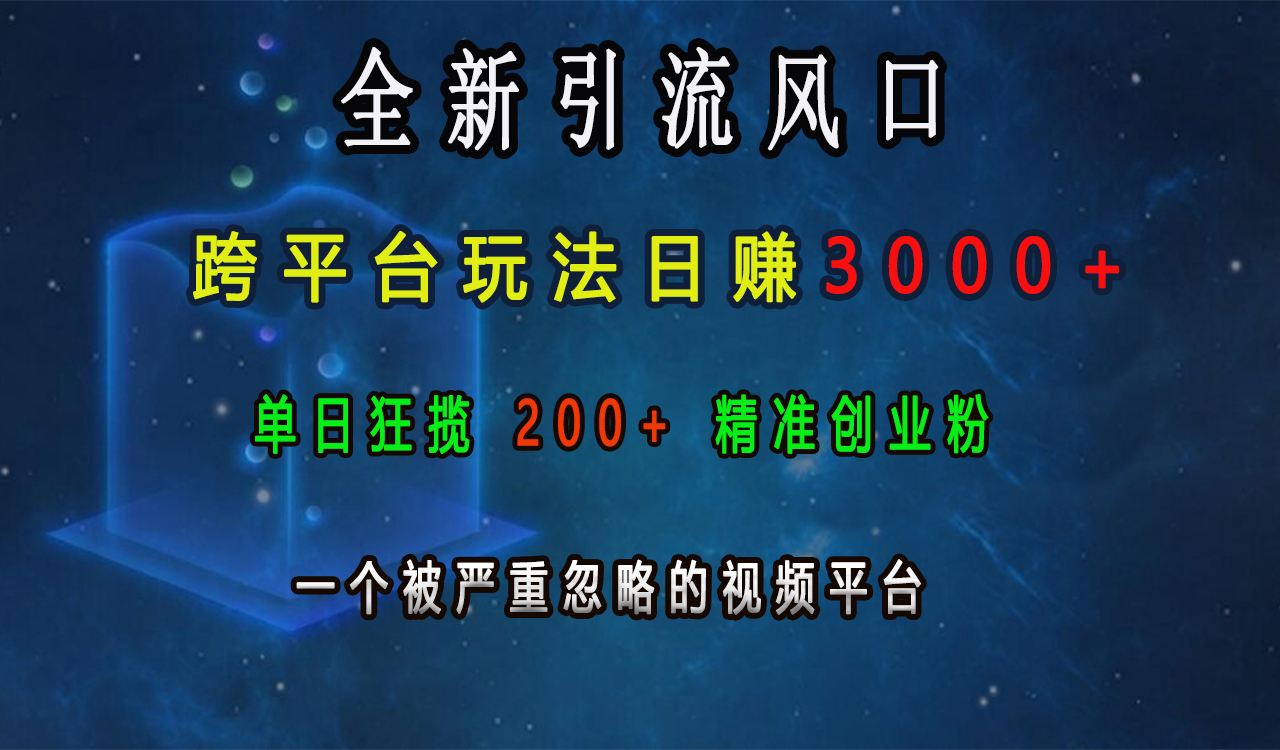 全新引流风口，跨平台玩法日赚3000+，单日狂揽200+精准创业粉，一个被严重忽略的视频平台-疯来资源