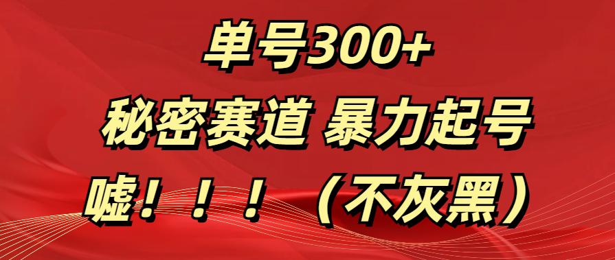 单号300+  秘密赛道 暴力起号  （不灰黑）-疯来资源