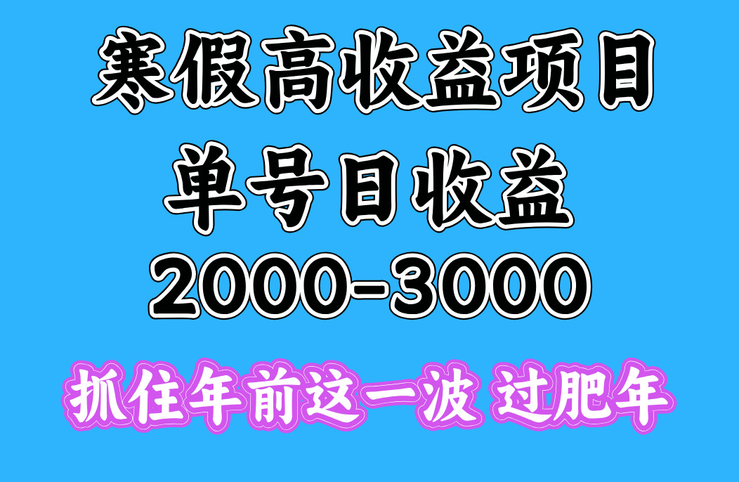 寒假期间一天收益2000-3000+，抓住年前这一波-疯来资源