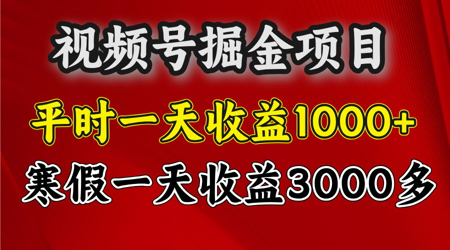 视频号掘金项目，寒假一天收益3000多-疯来资源