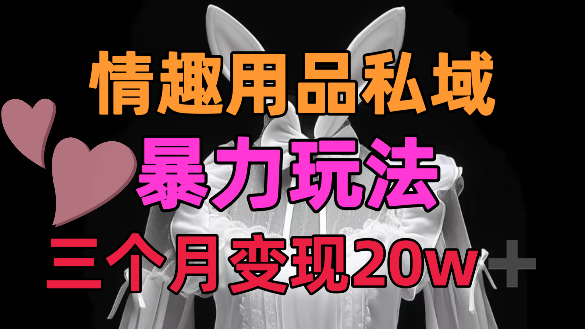 情趣用品私域，25年最新暴力玩法，三个月变现20w➕-疯来资源