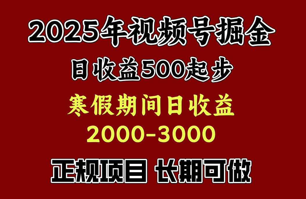 寒假期间一天收益2000+，小白一天就能上手-疯来资源