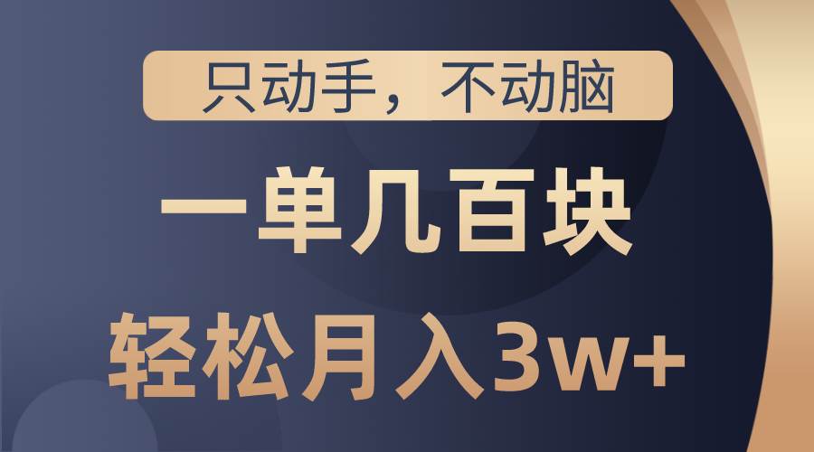 只动手不动脑，一单几百块，轻松月入3w+，看完就能直接操作，详细教程-疯来资源