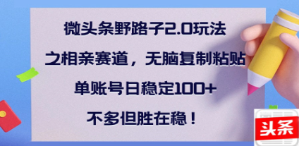 全网首发微头条野路子2.0玩法之相亲赛道，无脑搬砖复制粘贴，单账号日稳定300+保姆级教程-疯来资源