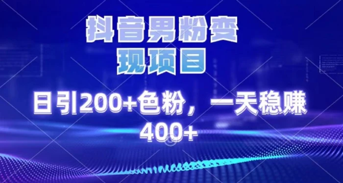 2025最新男粉项目 日引200 轻松月入2w+-疯来资源
