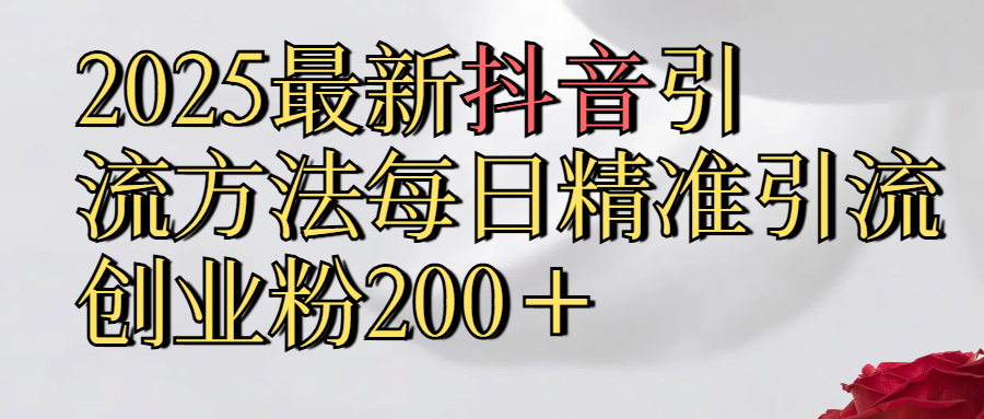 2025最新,抖音引流,方法每日精准引流创业粉300＋-疯来资源