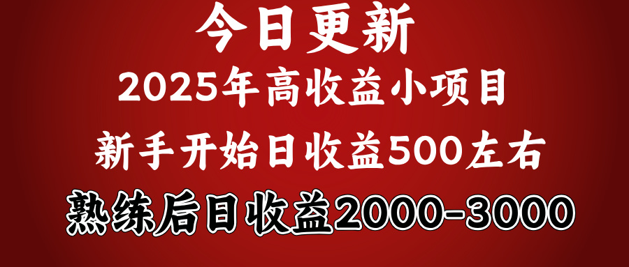 2025开年好项目，新手日收益500+ 熟练掌握后，日收益平均2000多-疯来资源