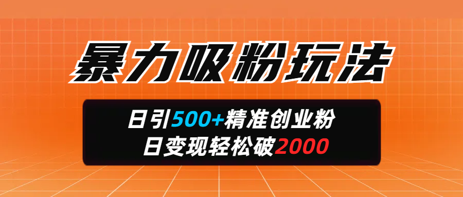 暴力吸粉玩法，日引500+精准创业粉，日变现轻松破2000-疯来资源