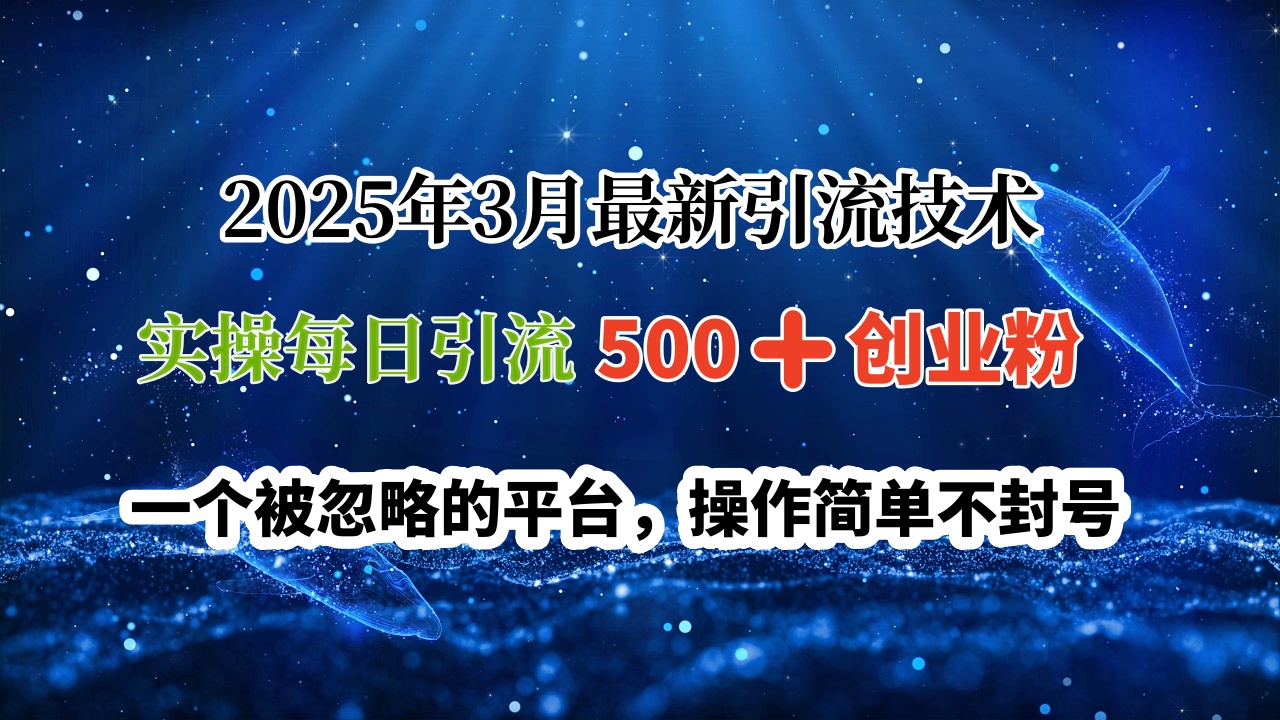 2025年3月最新引流技术，实操每日引流500➕创业粉，一个被忽略的平台，操作简单不封号-疯来资源