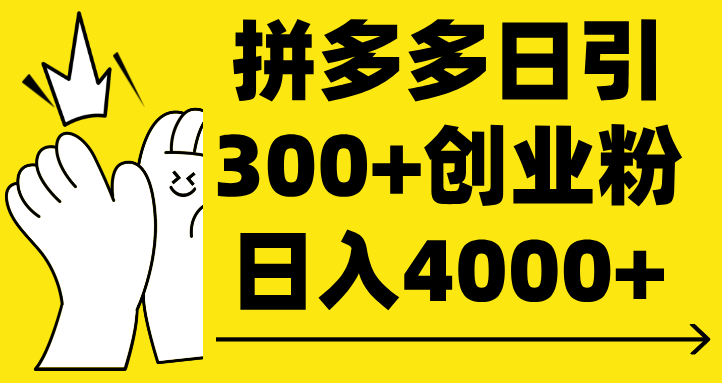 拼多多日引300+创业粉 日入4000+-疯来资源