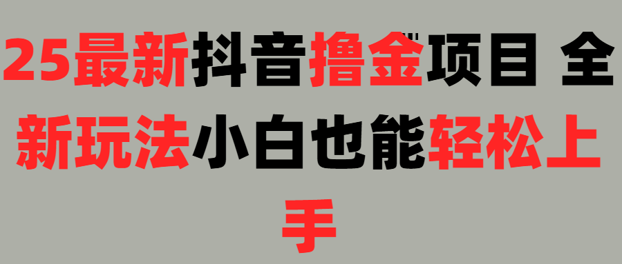 25最新抖音直播撸金项目，小白也能轻松上手！-疯来资源