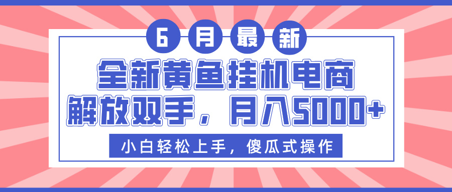 全新黄鱼挂机电商，解放双手，月入5000+-疯来资源